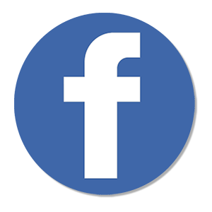 Google Play Store icon